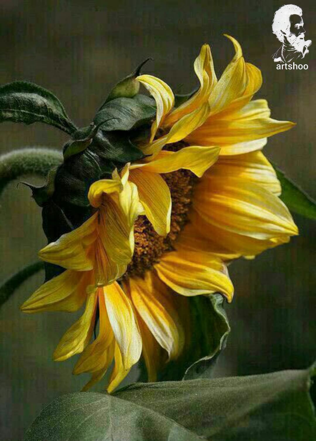 آموزش نقاشی رنگ روغن